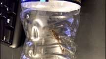 Woman Finds Live Scorpion in Bag of Spinach