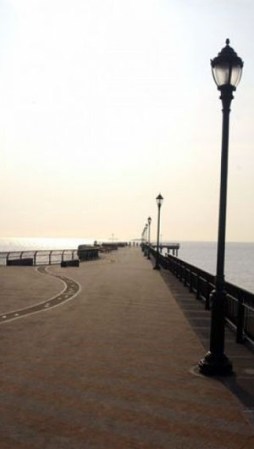 Franklin D. Roosevelt Boardwalk: Si de dar una caminata al aire libre se trata, no hay lugar mejor que el paseo tablado en la bahía de Staten Island. Frente al océano Atlántico, esta área recreacional también cuenta con playas para el verano.