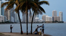 Miami: Venezolanos reaccionan a muerte de Chávez