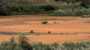 Desastre ambiental tiñe un río de naranja