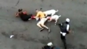 Brutal ataque de pit bulls captado en video en NY