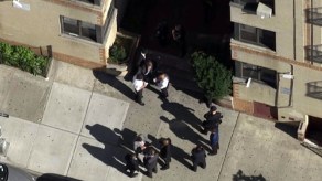 Bebé muere tras caer de un sexto piso en el Bronx