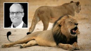 Piden extradición de dentista que mató a león