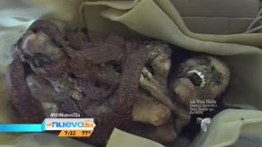 Insólito: encuentran momia en caja de cartón