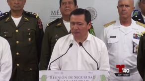 El secretario mexicano de Gobernación, Miguel Ángel Osorio Chong.