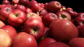 Una manzana al día mantiene alejada la grasa. La pectina que contiene la cáscara retrasa la digestión, por lo que la comida está más tiempo en el estómago y te hace sentir lleno.