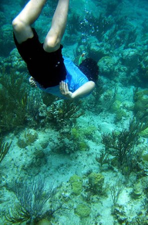 Quienes gustan de las actividades acuáticas pueden contemplar las bellezas del mar desde cerca.