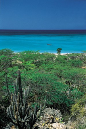 Los habitantes de Barahona quieren convertir su área en uno de los destinos turísticos más importantes del mundo, sin sacrificar la ecología.
