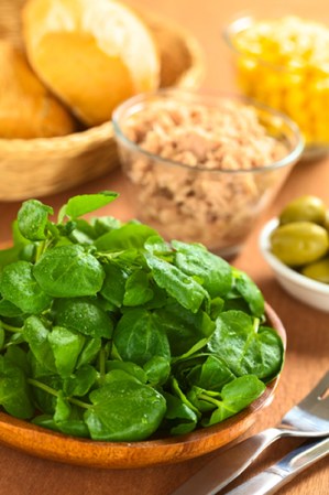 Berros: excelente fuente de minerales, betacarotenos y vitaminas C y E. La forma más eficaz de la planta es el jugo, bébelo para acelerar tu proceso de desintoxicación.