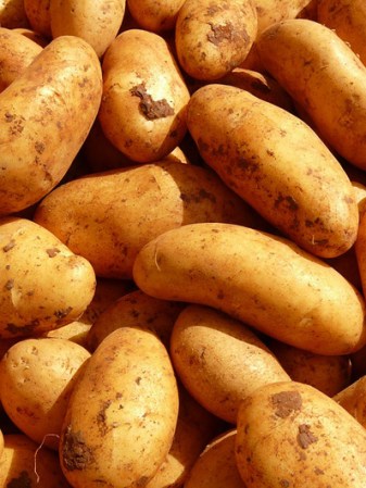 Papas