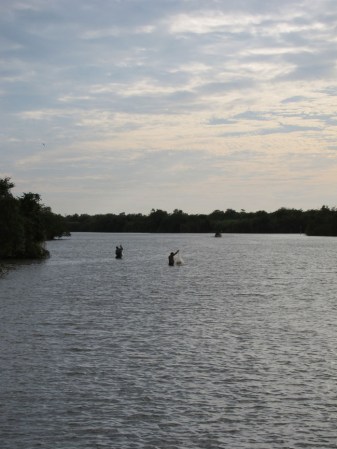 La Isla de Mexcaltitán se localiza en la laguna costera del río San Pedro; la población más cercana es Santiago Ixcuintla. Trasladarse por la laguna requiere un recorrido de 25 minutos entre vegetación exuberante.