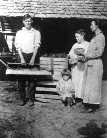 Dos mujeres, un niño y un hombre en D.E. Hawthorne, campo de fresa en Plant City; el señor Loy recogió fresas en el campo y las llevó a lavar y clasificar, para ponerlas en cajas limpias para enviarlas al norte en tren. 1920.
