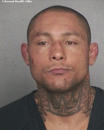 El 6 de febrero del 2014, el lucador de artes marciales mixtos (MMA) Thiago Silva fue arrestado y llevado a la cárcel de Broward bajo cargos de asalto a mano armada y de resistir el arresto sin violencia.
