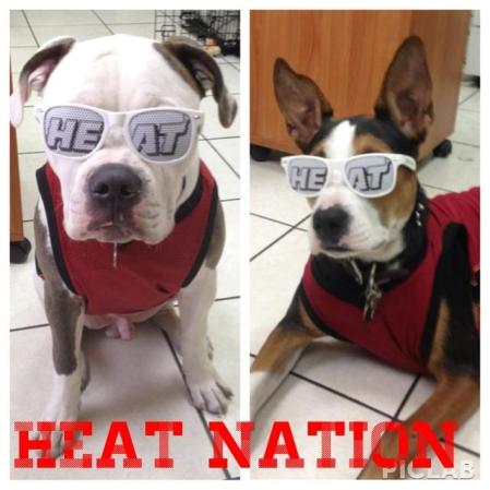 GOOOO HEAT