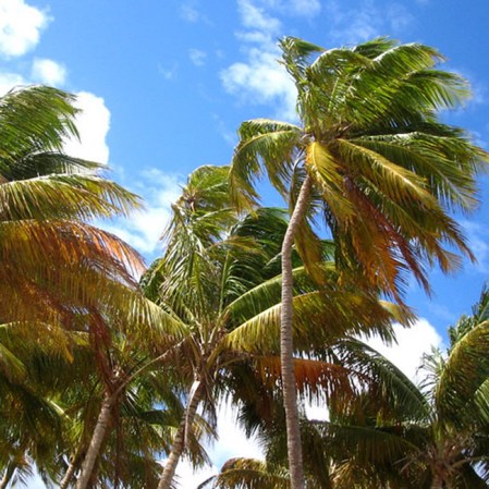 Luquillo, Puerto Rico, la capital del sol.
