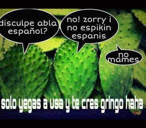Como cuando quieres hablar con un paisano… pero él dice que no habla español.