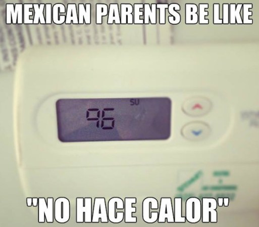 A continuación más problemas chuscos de las familias hispanas.
