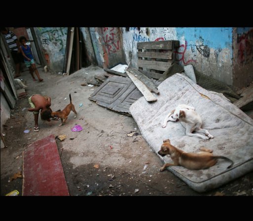 Sao Paolo y Rio de Janeiro son las ciudades más saturadas con estas aglomeraciones de viviendas.