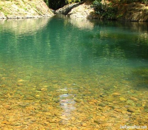 Si te gustan las piscinas naturales, Charco Azul es uno de los más famosos de Puerto Rico. Situado en el medio del bosque Carite.