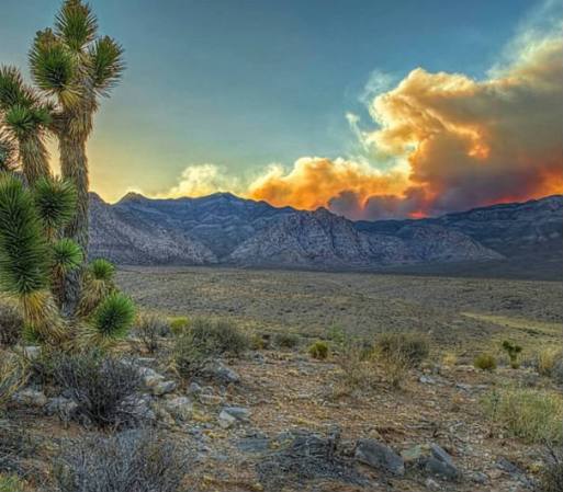 Esta belleza de Nevada corresponde al área de conservación nacional Red Rock.
