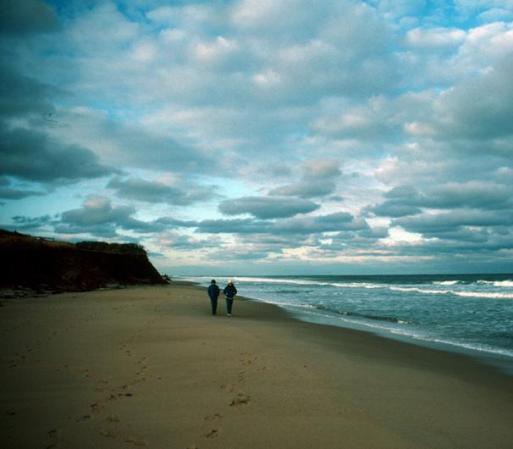 8. Coast Guard Beach<br />Cape Cod, Massachusetts<br />Durante la época veraniega, las personas aprovechan para tomar refrescantes baños en el océano con temperaturas en los 60 y 70 grados.