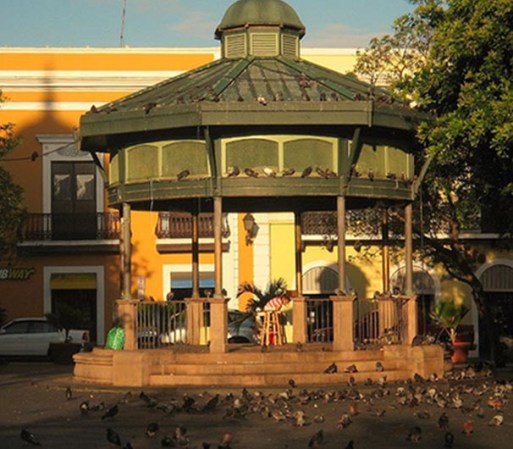Kiosco de la Plaza de Armas. Es uno de los parques en el Viejo San Juan, Puerto Rico. Al igual que en toda la ciudad, hay un montón de palomas allí.