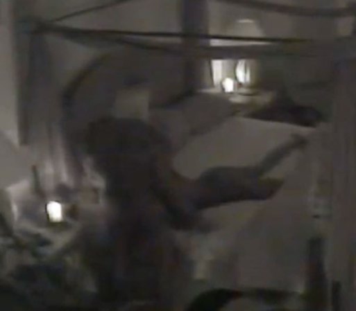 Una vez que el individuo se retira, Hogan y la mujer le dan rienda suelta a su lujuria.