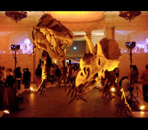Museo de Historia Natural del Condado de Los Ángeles