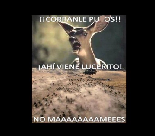 A continuación puedes ver más de este tipo de imágenes, conocidas popularmente como "memes".