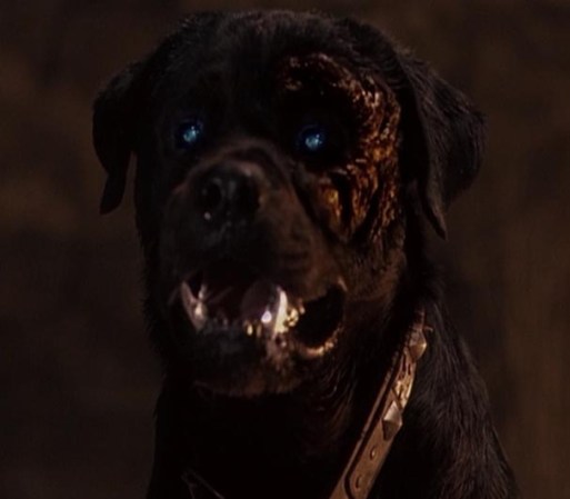 Rotweiller