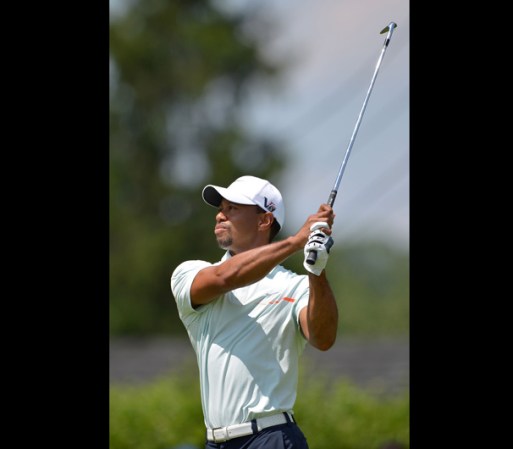 #15 - Tiger Woods