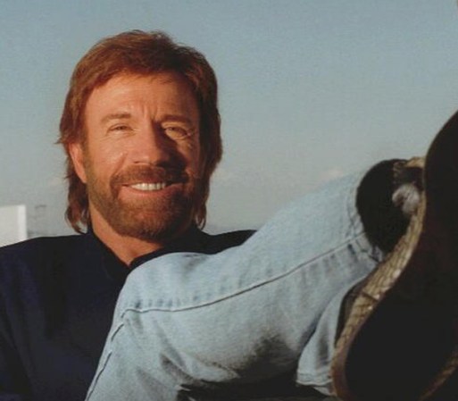 El actor de películas de acción Chuck Norris comentó: “Verdaderamente creo que Mitt tiene las habilidades y la organización para derrotar a Obama y para detener el cambio fundamental que le está haciendo al país”.