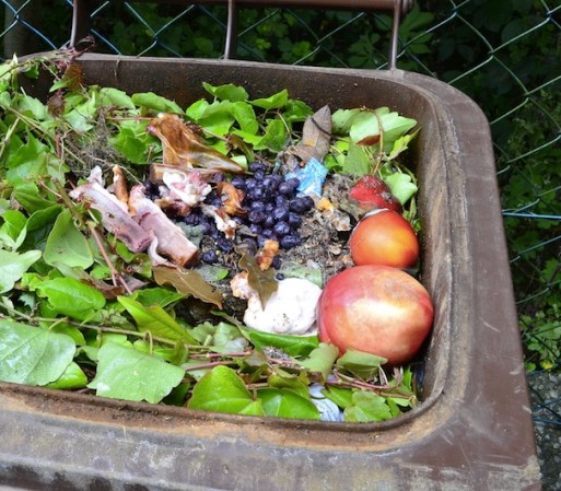 1. Empieza una composta. En howtocompost.org podrás aprender más sobre cómo empezar a separar y darle un buen uso a tus residuos orgánicos.