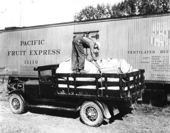 Hombre afroamericano carga las verduras en un vagón de ferrocarril refrigerado en el condado de Lake, 1928.