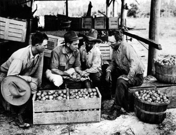 Grupo de hombres con una caja de patatas irlandesas en la finca EL Myers en el condado Osceola, 1920.