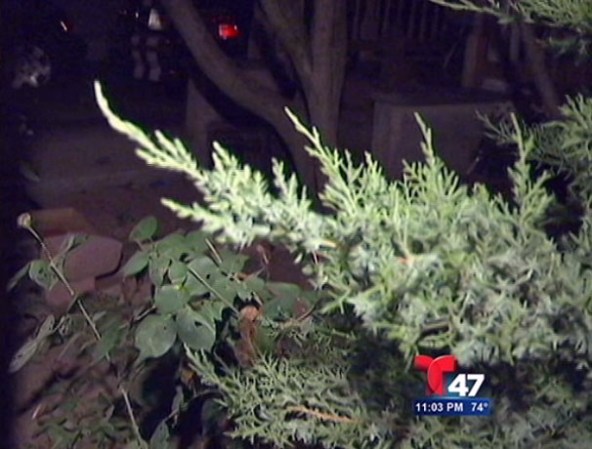 Las autoridades investigan un brazo encontrado en el patio de una casa en Long Island coincide con otros restos encontrados cerca de un parqueadero.