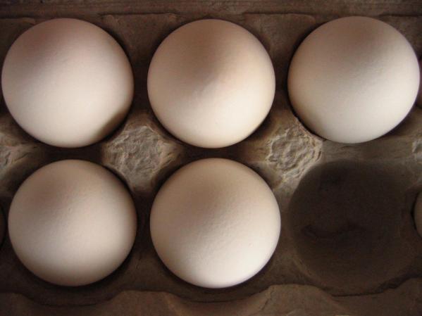 Las yemas de los huevos tienen nutrientes para el cerebro y ayudan a eliminar toxinas. Alimentos con yema de huevo nos ayudan a sentirnos más satisfechos.