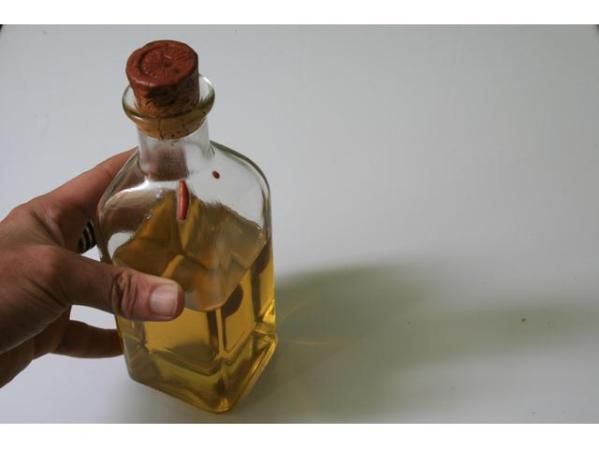 Entre los aceites permitidos están el de canola, oliva y de lino.
