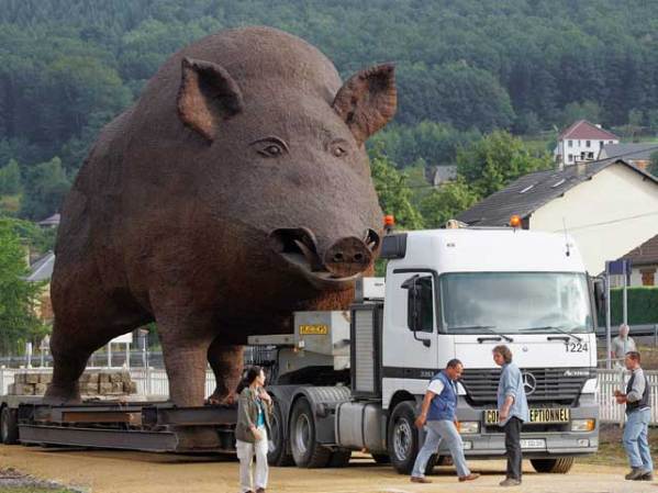 La escultrura gigante de un jabalí es transportada a su lugar permanente en un predio rural frente a una carretera francesa, como símbolo de la región de las Ardenas.