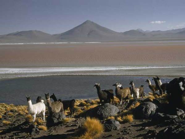 La laguna Colorada, en Bolivia.