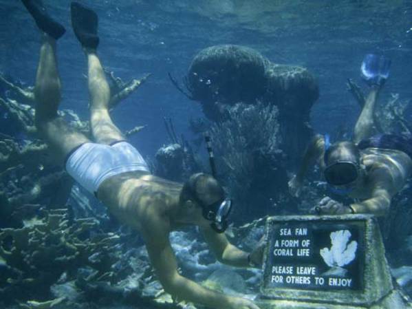 Arrecife de Buck Island, en las Islas Vírgenes de Estados Unidos.