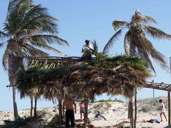 La reparación de una cabaña, en la playa de Santa María del Mar.