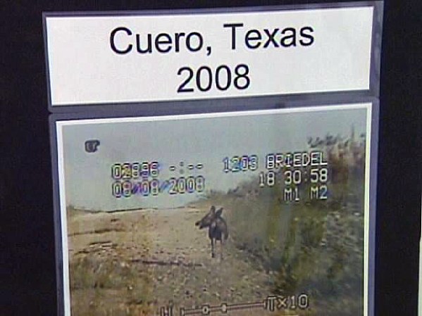 Cuero, Texas