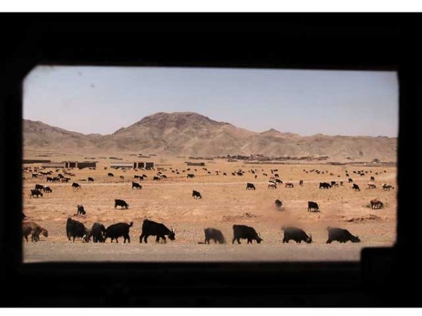 Afganistán visto desde la ventana de un vehículo militar estaunidense.
