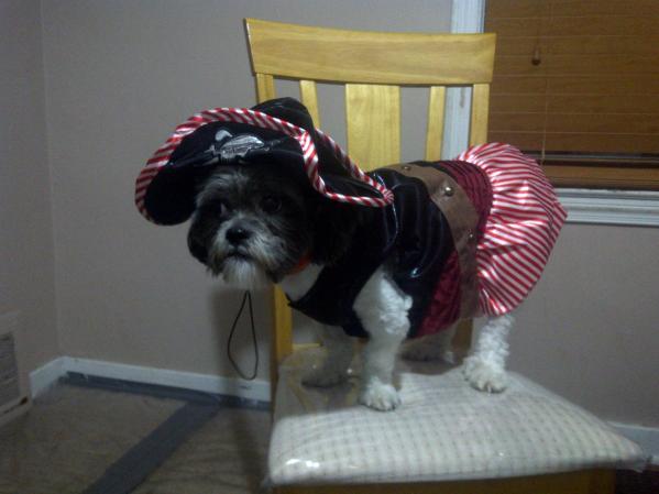 muneco. <br /> ¿Quieres compartir fotos como estas? Hazlo aquí <br />