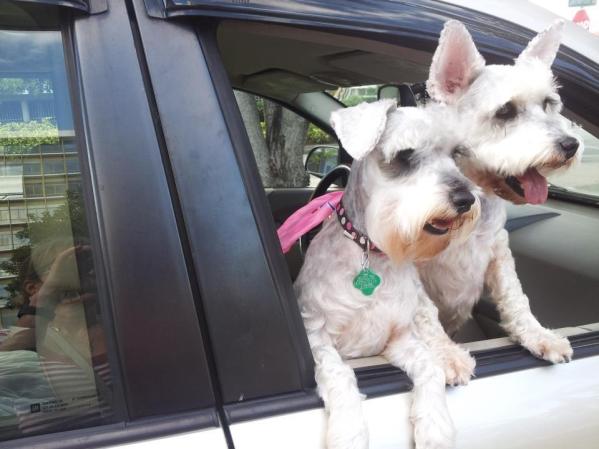 Susy y Chiqui
