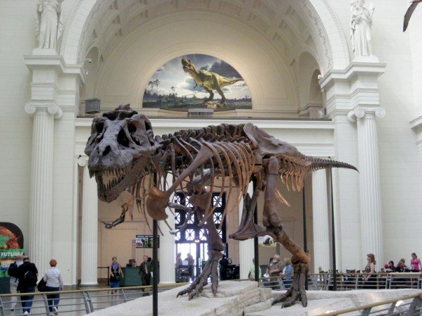 Además de este esqueleto –el más grande y más completo de un Tiranosaurio Rex que exista en el mundo-, en el “Field Museum” puedes encontrar desde inigualables obras de arte hasta momias egipcias. El Field Museum está en Chicago.