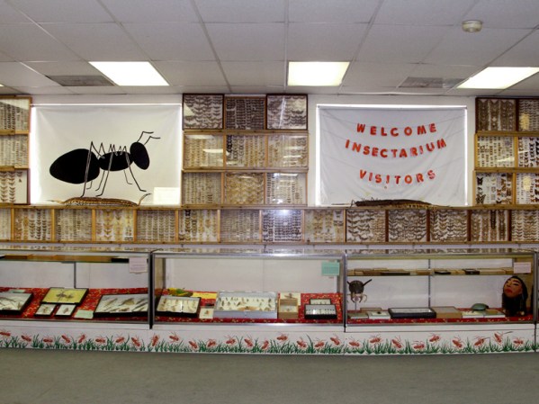 El “Insectarium” de Filadelfia ofrece una exposición permanente de insectos de todos los tipos.