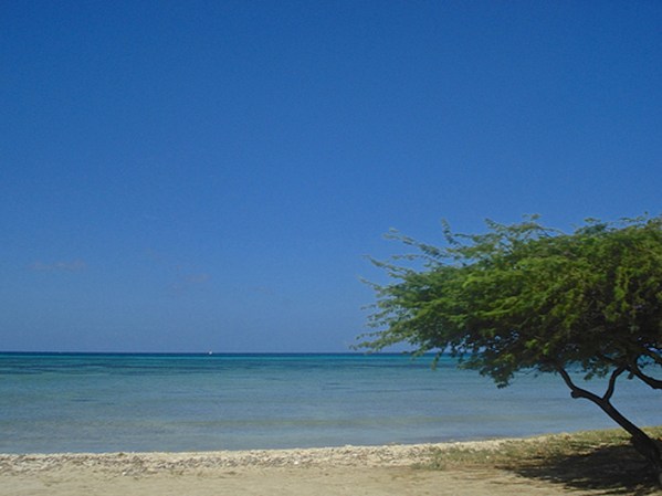Las playas de Aruba, son mundialmente conocidas por su belleza.