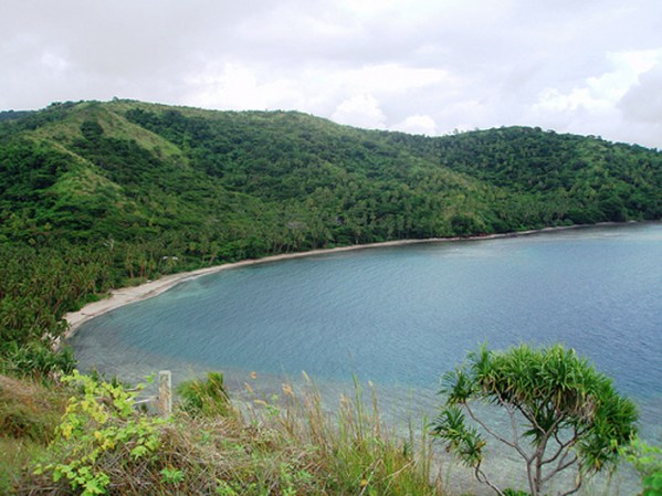 Dolphins Bay, Brasil.